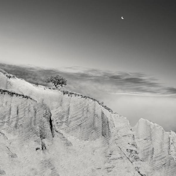 Photograph Pietrino Di Sebastiano Lonely Tree on One Eyeland